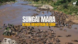 Download lagu Mara River: A Fierce and Deadly Flow in the Middle of the Savannah mp3