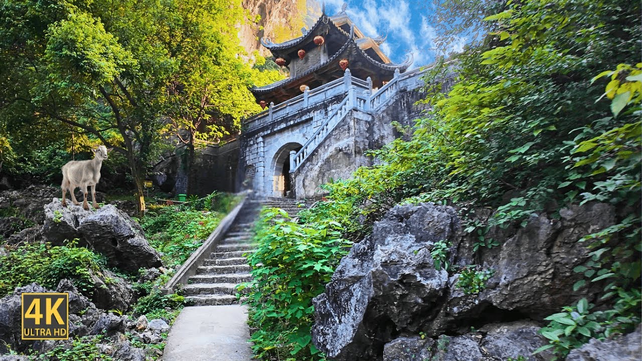 Experience the enchanting allure of Tuyet Tinh Coc, where breathtaking landscapes create a peaceful escape.