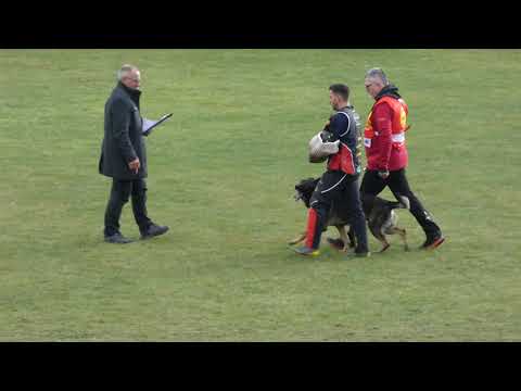 WUSV 2021 DNK 5 - HENRIK JENSEN & ANGRY VON STARKER WILLE C 95