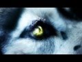 DAVID GUETTA - SHE WOLF (FALLING INTO ...