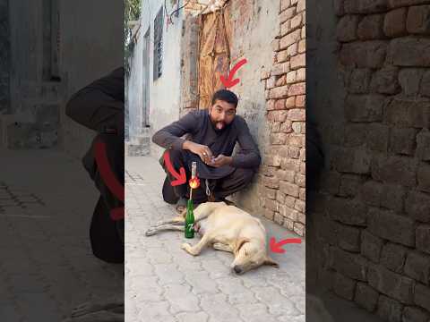 😂😂😂#shortsfeed #funny #rpfunnmaster