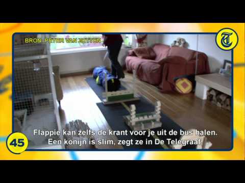 Nieuwsflits 25 Oktober 2011 - Bouwvakker pijnlijk gespietst