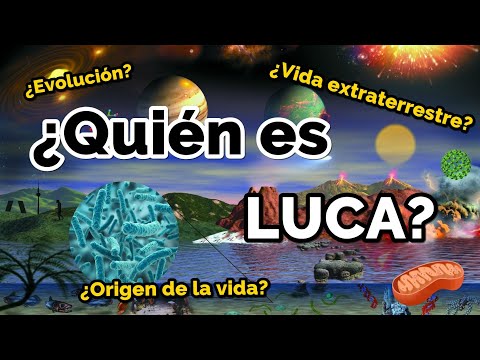 ¿Quién es LUCA? 🦠 La evolución de la vida