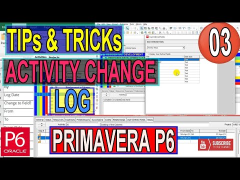 Save print Settings using Import and Export Primavera P6 layout Files Plf Solutions Tricks