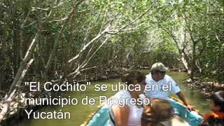 preview picture of video 'Reserva El Corchito Progreso (1)'