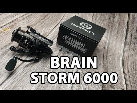 Котушка Brain Storm 6000
