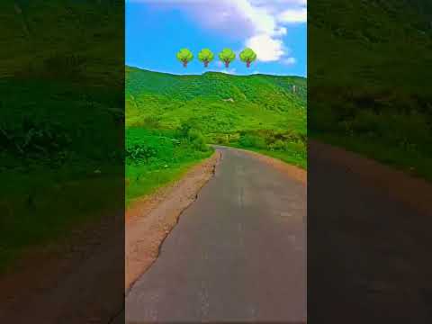 savan ka Mausam #trending #nature @CrazyXYZ #mrbeast #mrindianhackershorts