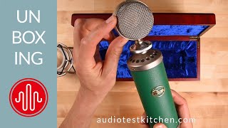 Video thumbnail for Blue Kiwi | Unboxing & Review Powered by You by Audio Test Kitchen