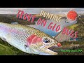 Hunting Trout On Glo Bugs Harvey Dam