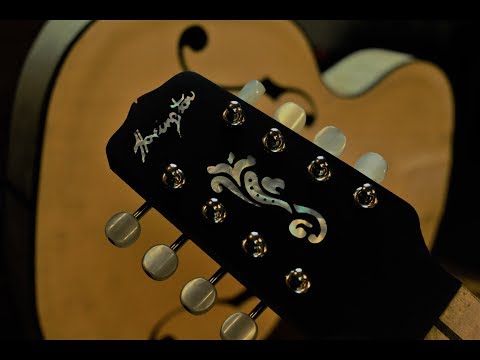Hand cut Mother of pearl Inlay on Peg Head