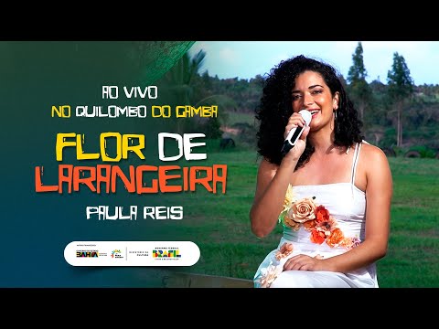 Flor De Laranjeira - Paula Reis