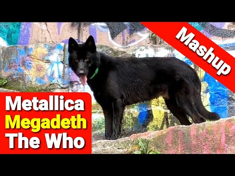 Metallica, Megadeth, and The Who - "Eminence of Holy Wars and Creeping Death"