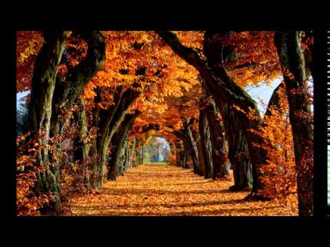When October Goes - Barry Manilow