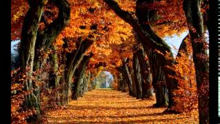 When October Goes - Barry Manilow