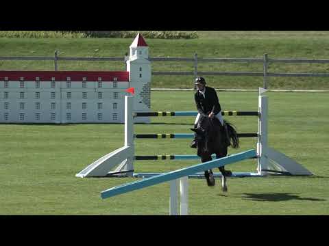 Bronislav Chudyba – LISTON ACHTERHOEK, Grand Prix 140 – 160 cm – Danube Champions Tour – 16. 5. 2021