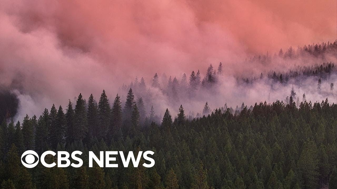 Park Fire grows to 4th largest wildfire in California history