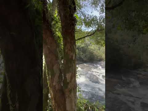 Parque do Caracol, Canela, Rio Grande do Sul, 2025 #canela #riograndedosul #cachoeira #gramado