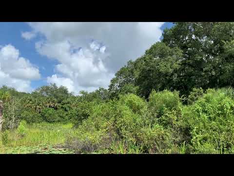 20 Seconds in Nature, Long Key Natural Area, Davie FL