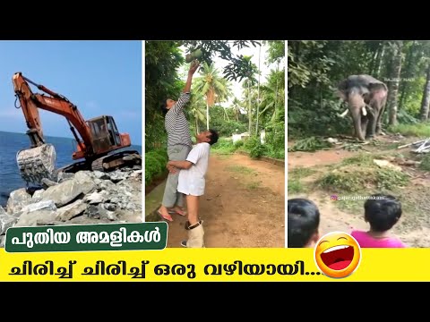 ചിരിപ്പിച്ച്  കൊല്ലാൻ പുതിയ തമാശകൾ | Comic Genius | Top Fails