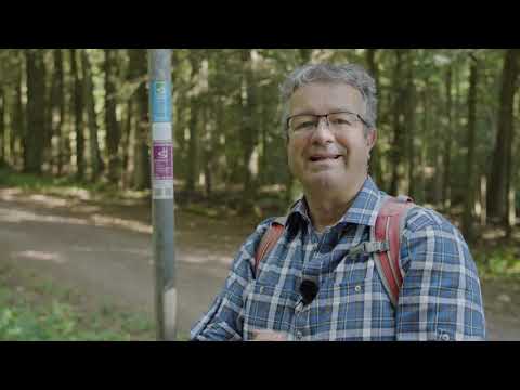 Der kleine Wanderknigge – Was brauchst du zum Wandern und wie orientierst du dich