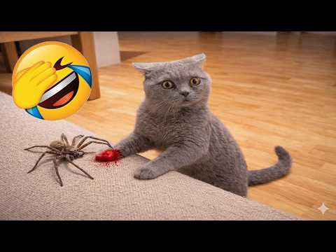 Funniest Cats Ever 😹 Viral Cat Moments That Broke the Internet in 2026