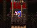ALL SALLY EXE RETAKE D3ATH SCENES Shorts Sonic Exe Sally Sallyexe Sega Fangame Luigikid
