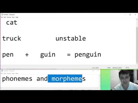 Phonemes And Morphemes The Basics
