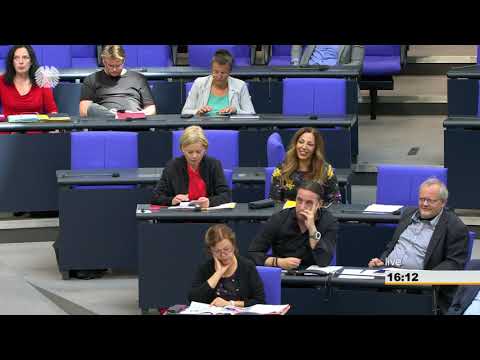 Johann David Wadephul: Verteidigung [Bundestag 12.09.2018]