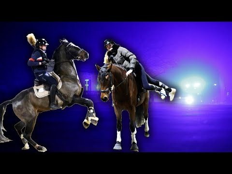 Unfall in der Reithalle - Auswärtstraining endet in der Notaufnahme | Jungpferdeausbildung