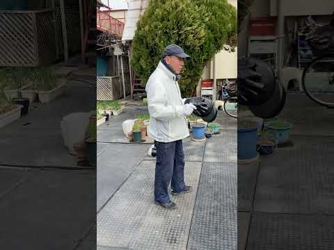 約束ミットがしっかり打てないと実戦ミットで当てられない