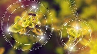Thumbnail for What is the Poincare Conjecture?