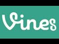It S The Most Beautiful Thing I Have Seen In My Life Vine Compilation HD