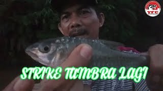 Download lagu STRIKE TAMBRA/SORO/MASHER mp3 Download lagu STRIKE TAMBRA/SORO/MASHER mp3