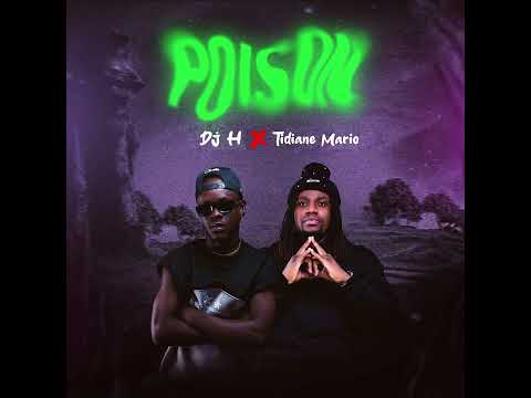 Dj H - Poison  Feat Tidiane Mario (Audio Officiel) 