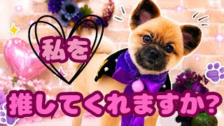 望叶5歳を振り返ってみよう❤︎