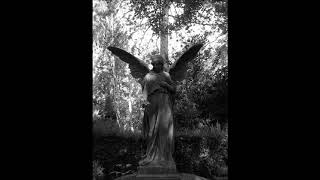 Dark Sanctuary - Au Milieu Des Sepultures