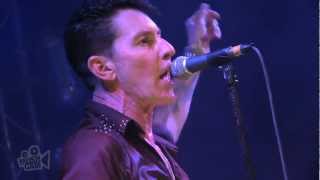 International Swingers - C&#39;mon Everybody/Let&#39;s Get Together (Eddie Cochran) (Live in Sydney)