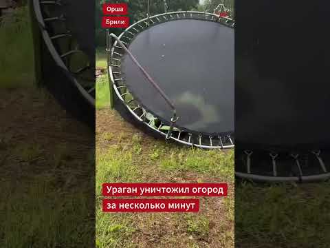 🌪️ Жительница #Орша показала, что осталось от её огорода после сильного урагана и града