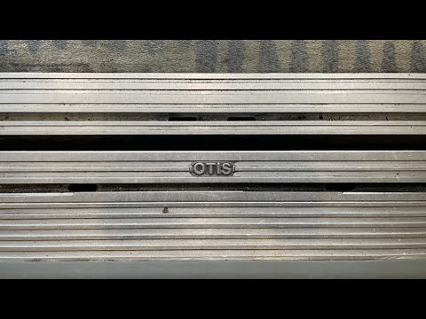 Otis Gen2 Elevators | Hyatt Regency - South Tower | Clearwater Beach, FL