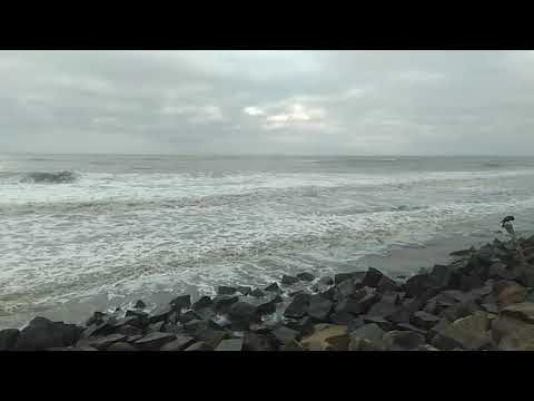 Things to do in Kerala - Going deep in Cherrai beach