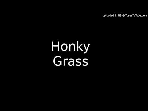 Honky Grass Live