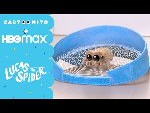 Pająk Lucas | Sieć przyjaźni | Cartoonito