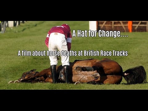 RACEHORSE DEATHS - 'A HAT FOR CHANGE' - ROYAL ASCOT 2016 - PART 1 (RACEHORSE DEATHS - 'A HAT FOR CHANGE' - ROYAL ASCOT 2016 - PART 1)