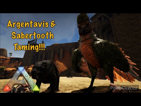 High Level Argy and Sabertooth Taming!!! Ark Ragnarok Xbox Ep8