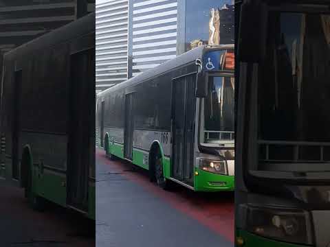 Linea 61 int. 166 (Italbus Tropea)