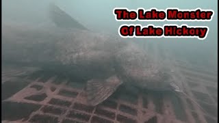 Lake History And Man Eating Catfish