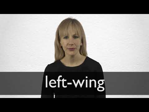 Left Wing Definition And Meaning Collins English Dictionary Left Wing Definition And Meaning Collins English Dictionary