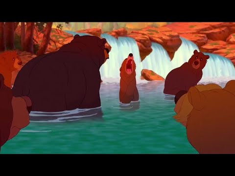 Koda, fratello Orso - Il Raduno del Salmone