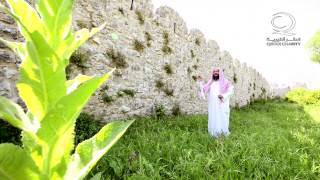 إنك عفو تحب العفو