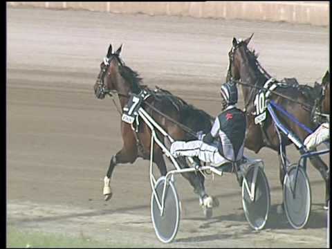 Trotto 27/05/2016 - 6° corsa